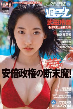 农场主的三个儿子三个女儿